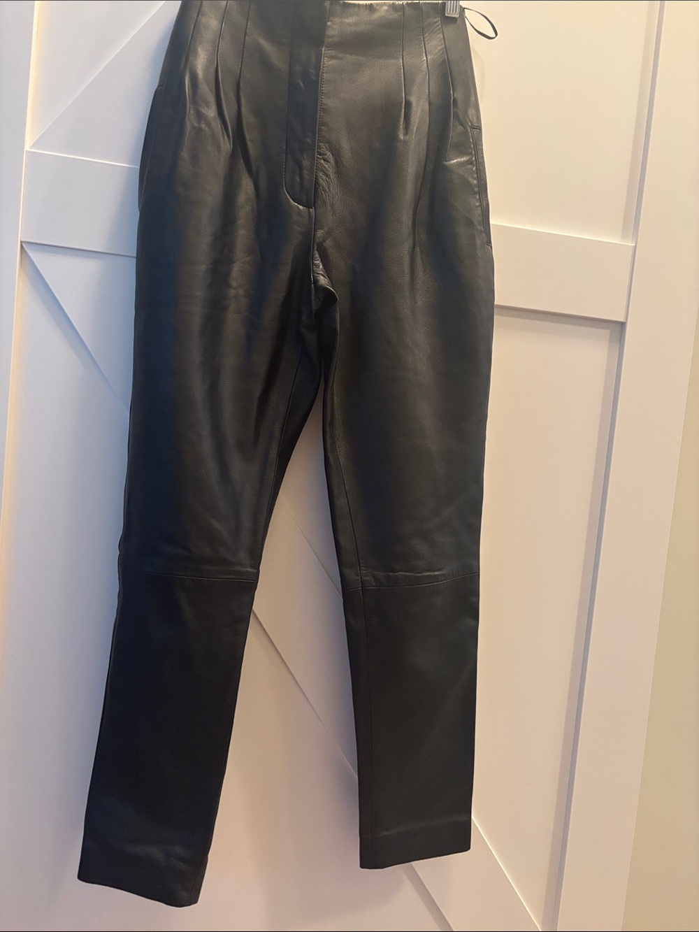 Beautiful Leather Alberta Ferretti High-Waist Pants, size 02